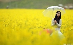 冲出宁静号国语